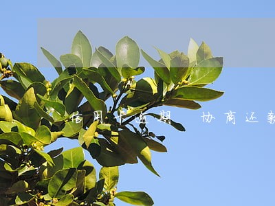 信用卡逾期 协商还款找谁 信用卡逾期 协商还款找谁